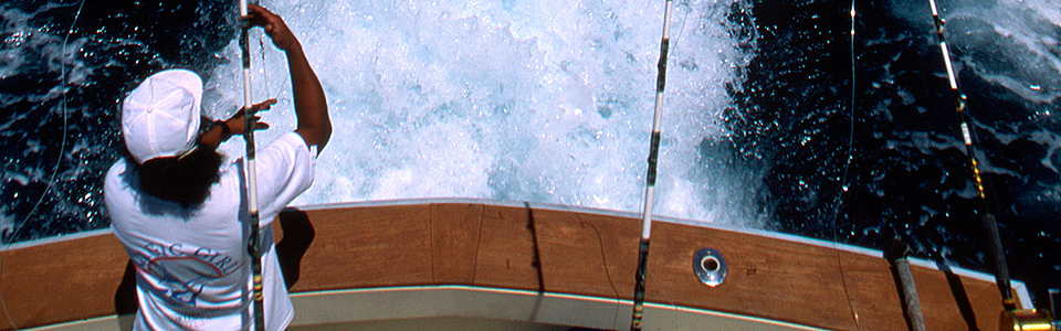 防護衝立・Rad Barrier-X 昭和光学株式会社